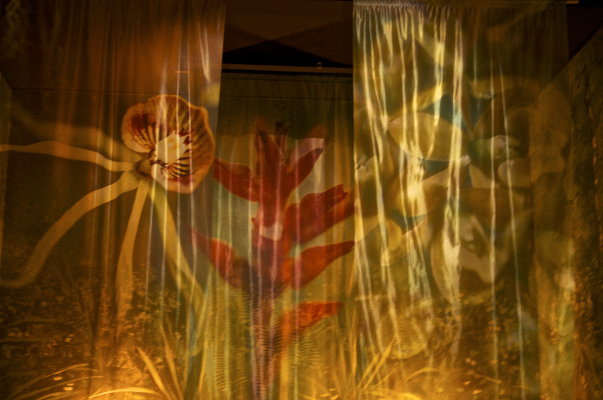 Banners at Corkscrew Sanctuary ©Connie Bransilver