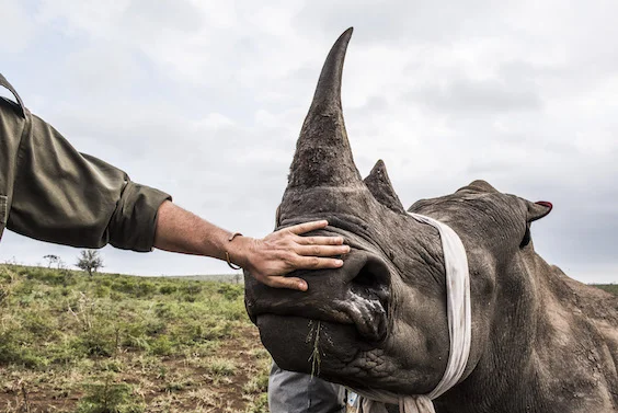 “South African Ranger Peter Chadwick exposed the complex human/animal challenges in supporting Africa’s Conservation Ranger Force.”