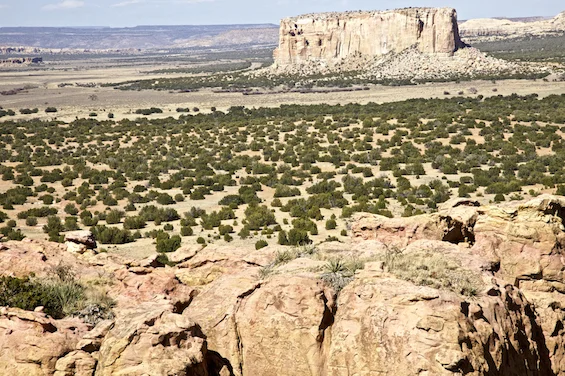The View From Acoma Pueblo ©Connie Bransilver