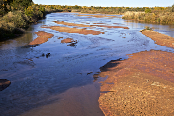 Rio Grande in summer