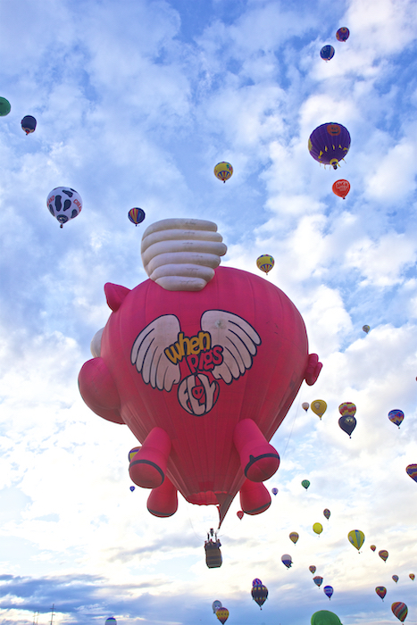 International Hot Air Balloon Festival - When Pigs Fly