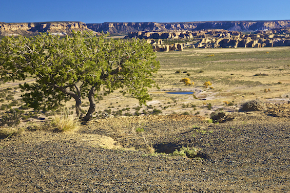 Acoma valley