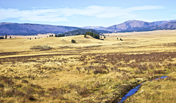 Valles Caldera National Preserve