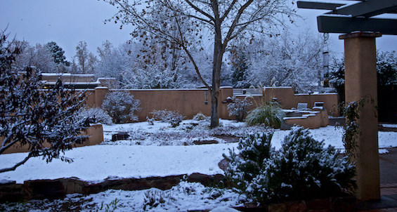 Our garden in snow