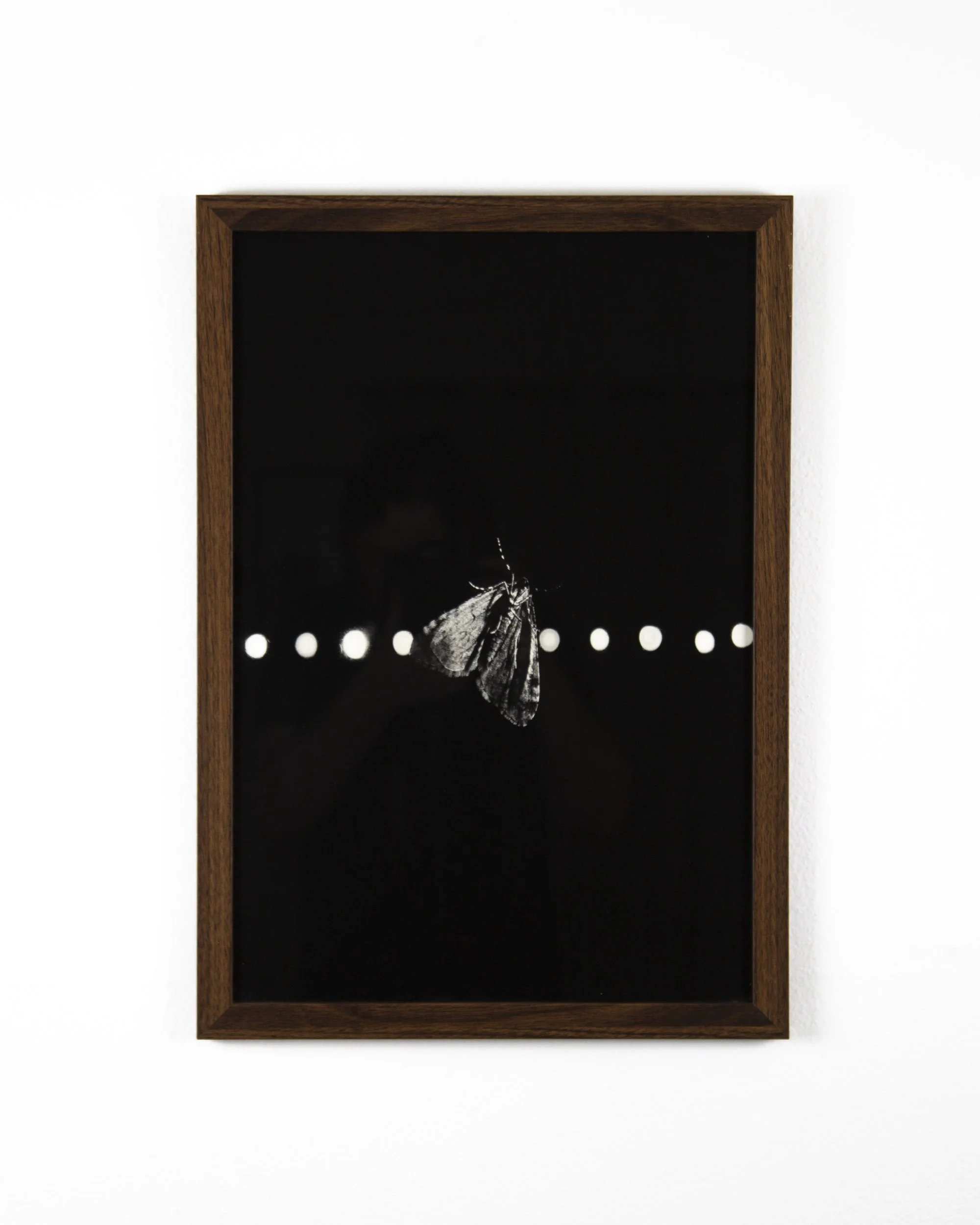   13” × 19” inkjet print  