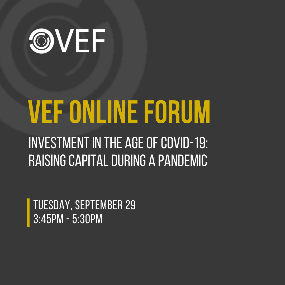 Investment in the age of COVID-19: Raising Capital during a Pandemic