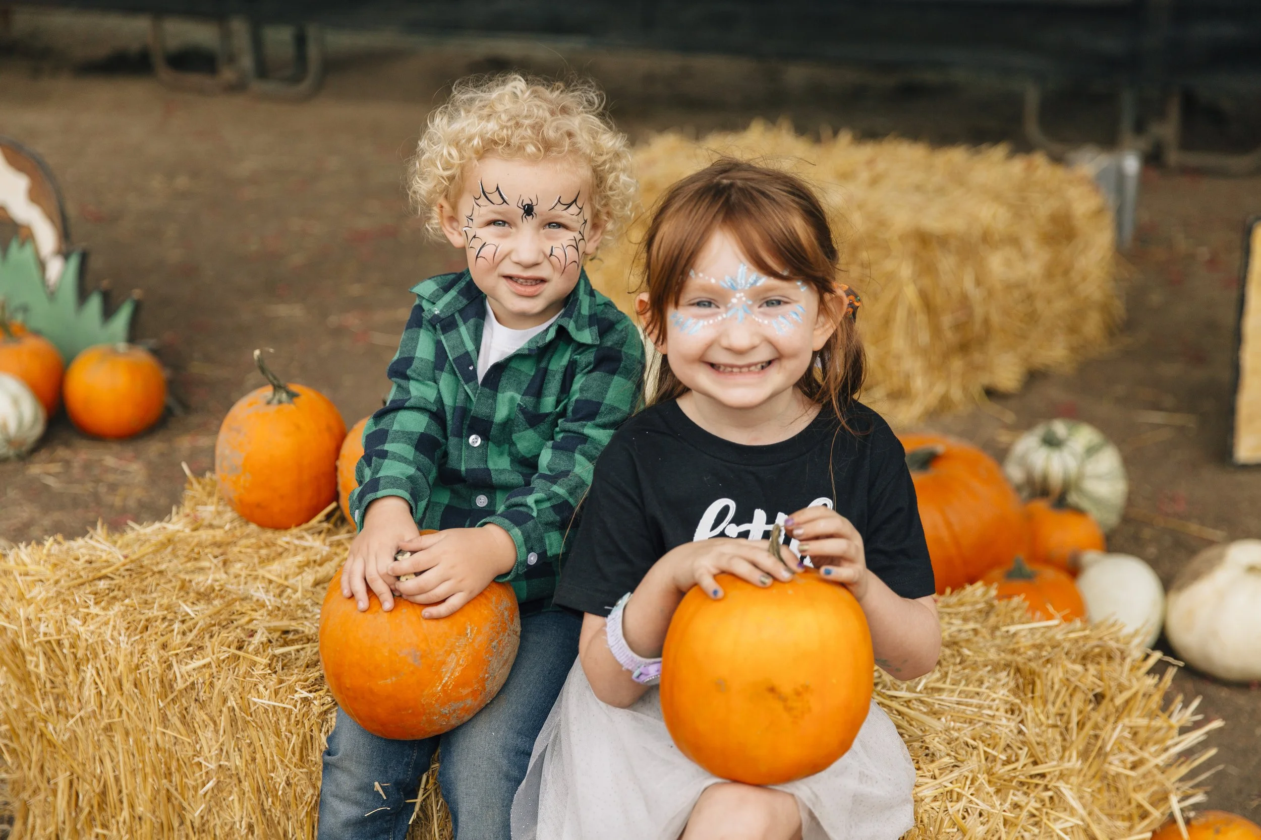 PaigeCreative-PeltzerPumpkin002.JPG