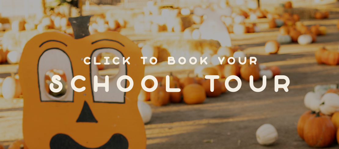 school tours in southern California. Pumpkin Farm School Tours. Temecula School Tours. Fall School Tours.