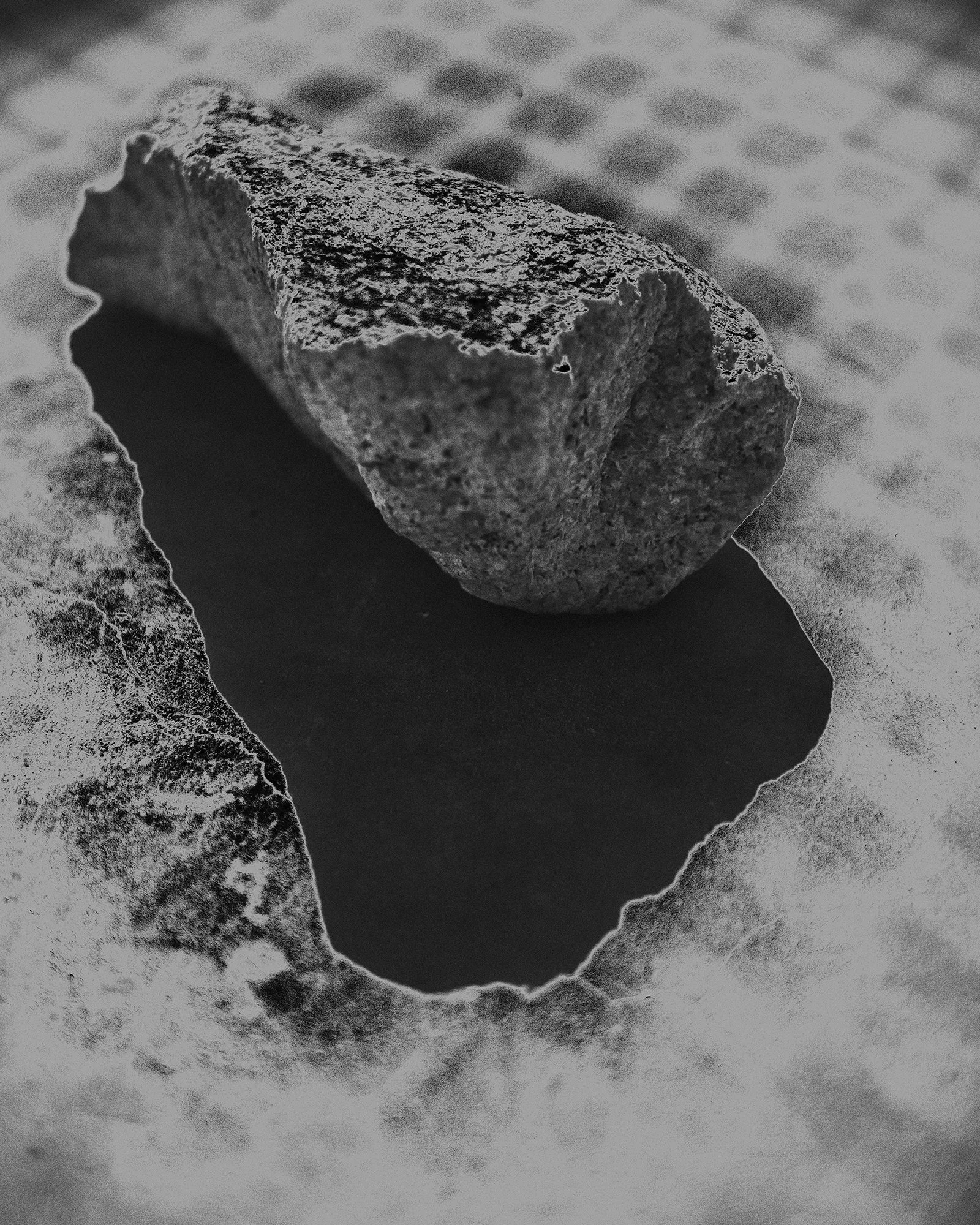 L1006965011 copy.jpg