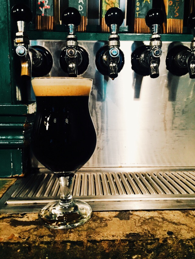stout in tulip.jpeg
