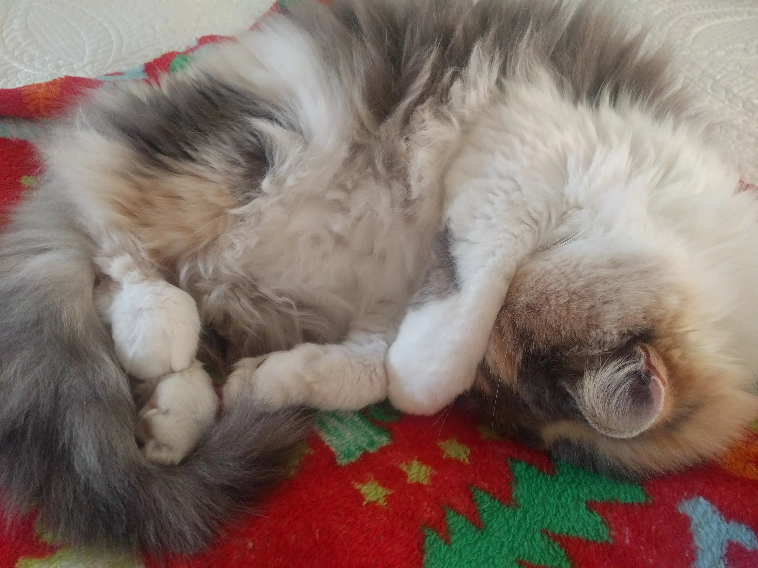 Shes sure is cute!