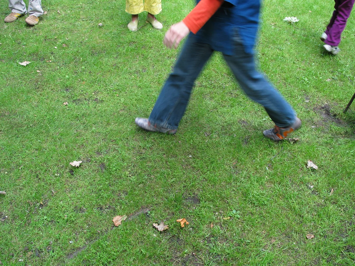 walk.jpg