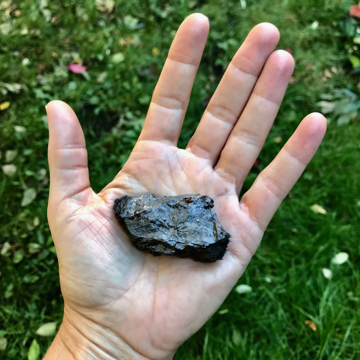 Poitras Santos_magnetite in palm.jpg