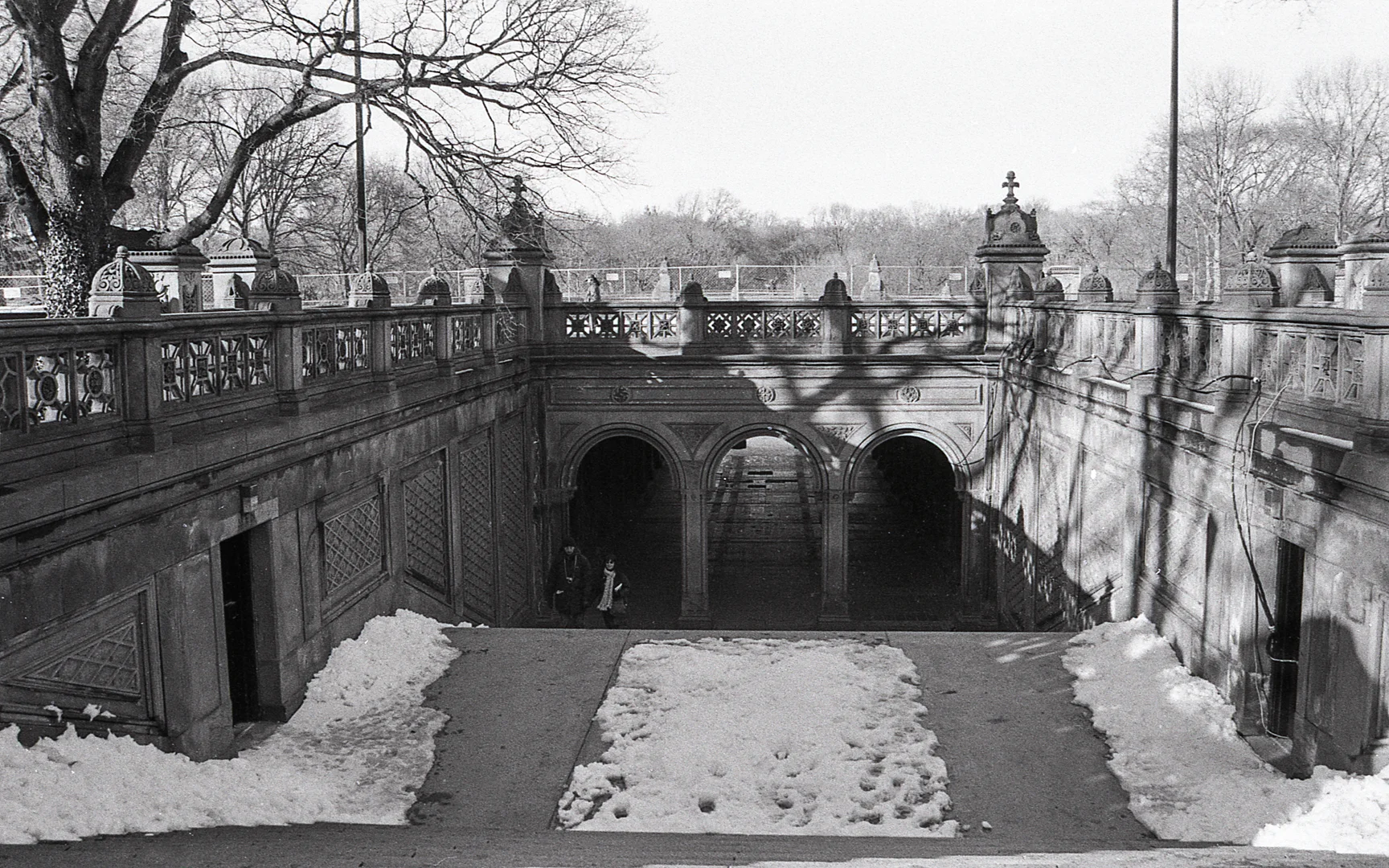 Central Park015.jpg