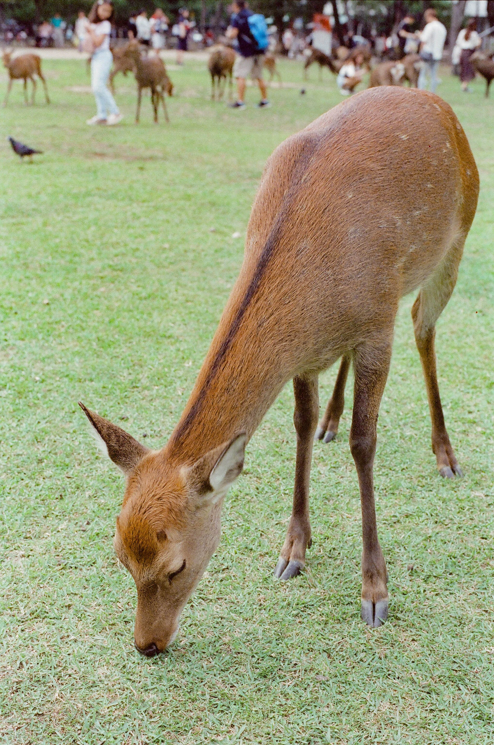 279792_0012.JPG