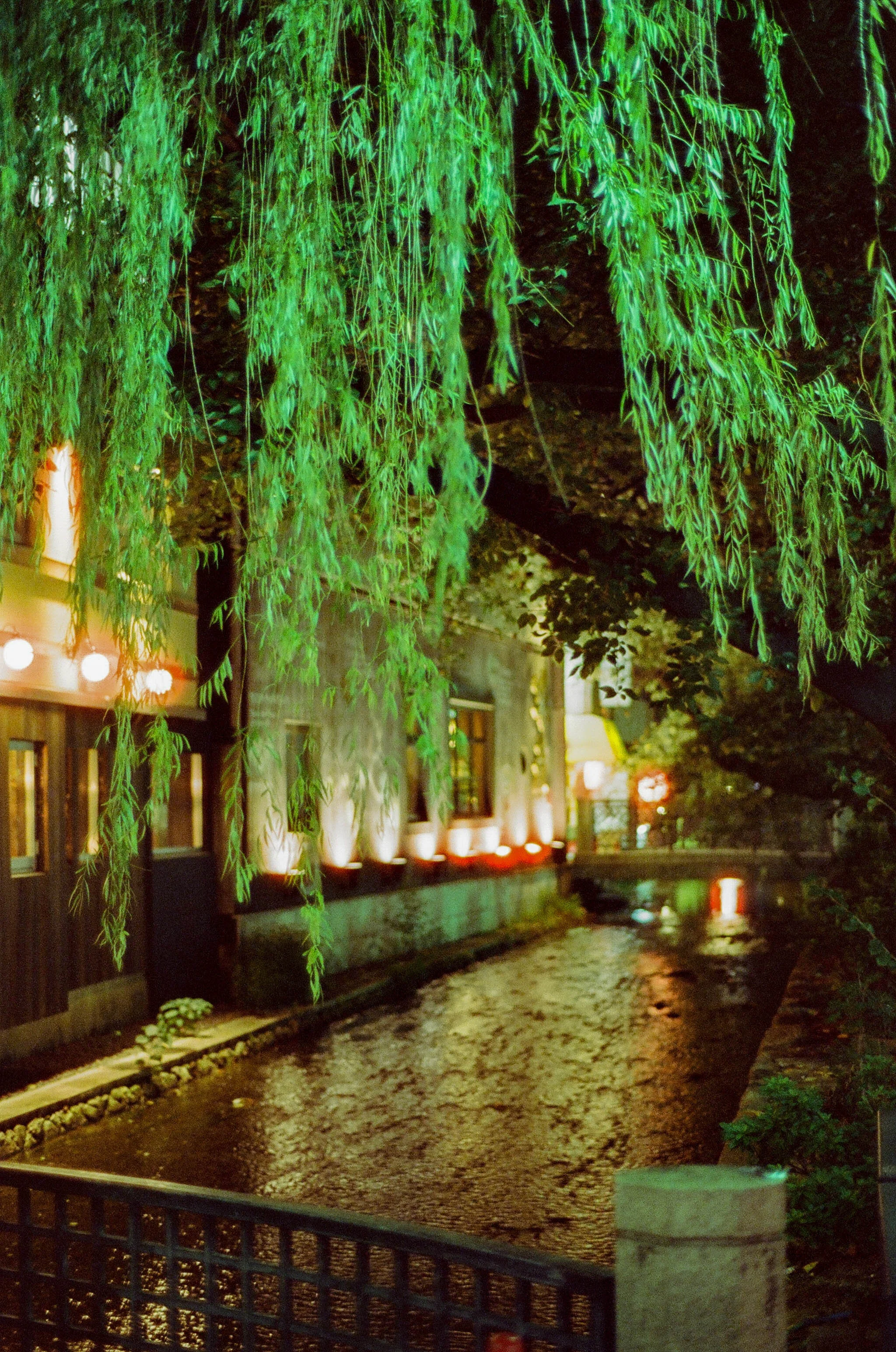 279793_0022.JPG