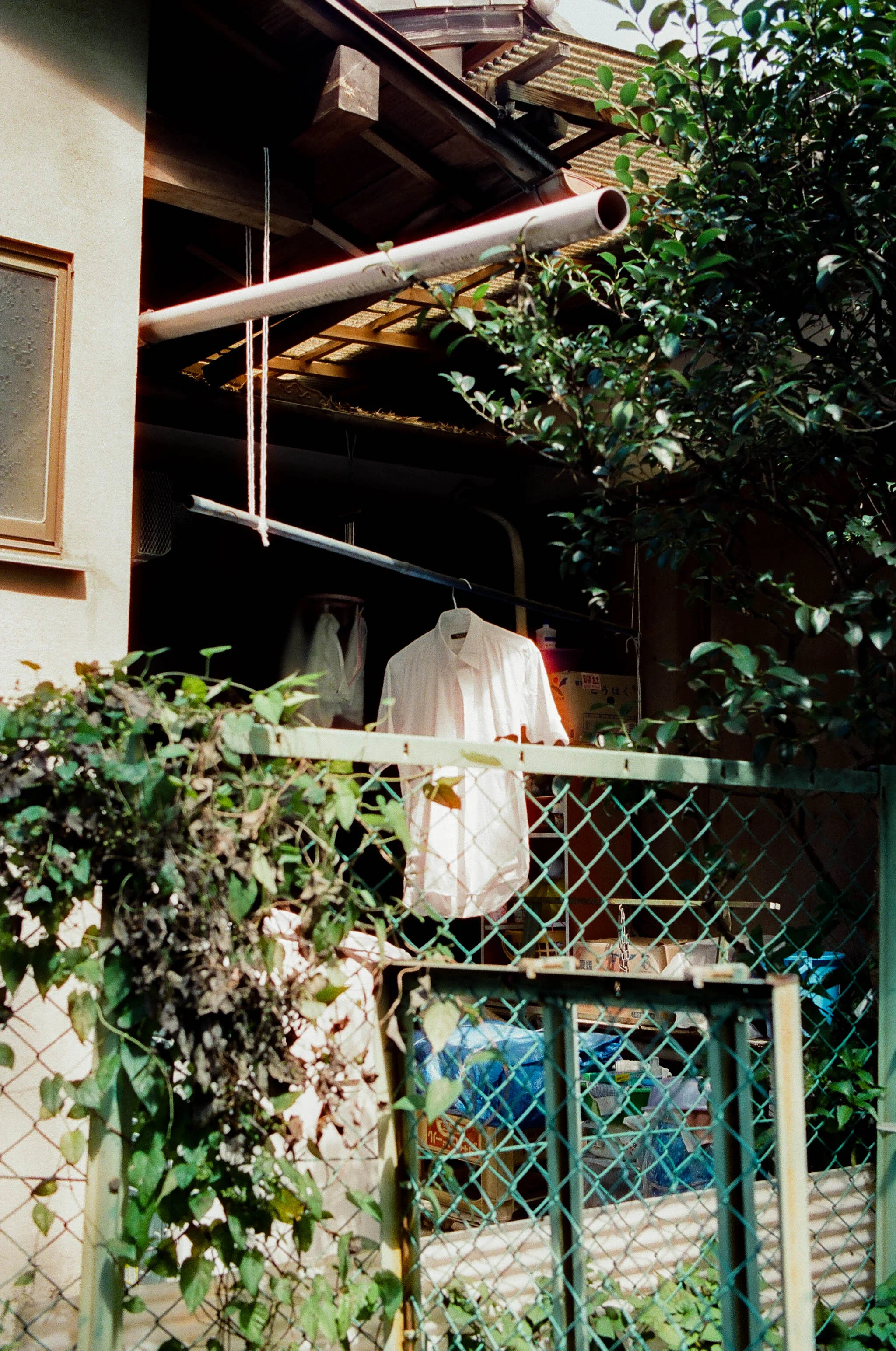 279794_0023.JPG