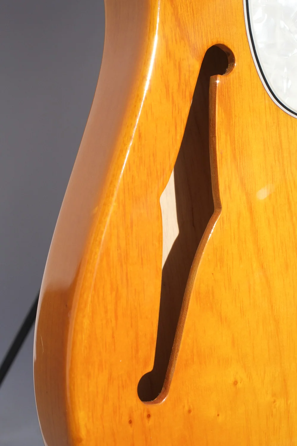 Honeybee Vintage G&L Asat Classic-9.jpg