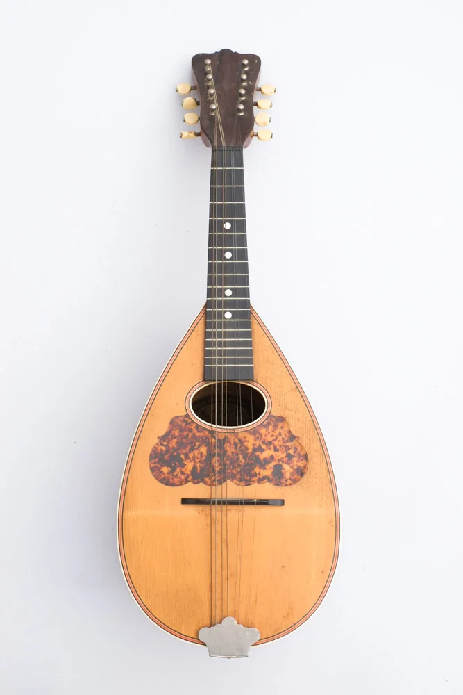1890s Washburn bowl back Mandolin