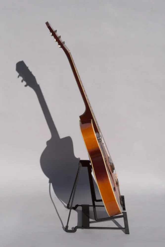 Honeybee Vintage Silvertone maybe Harmony H62 needs ID-5.jpg