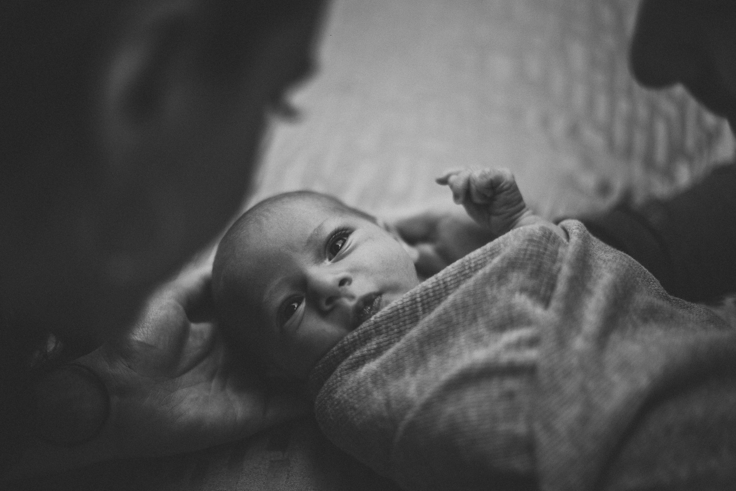 nyc-newborn-photography.jpg