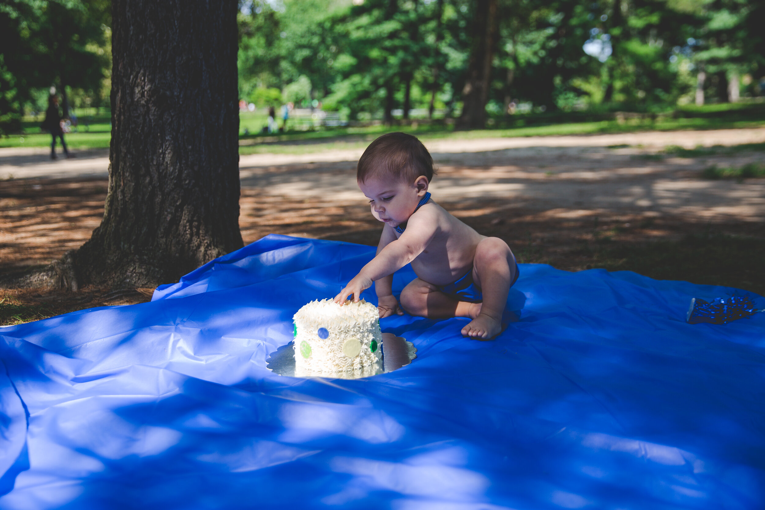 central-park-first-birthday-party-photography.jpg