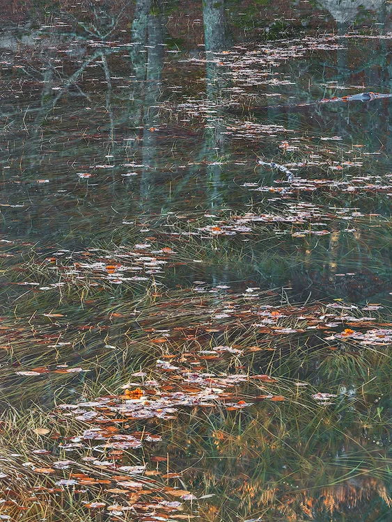 Stiched 7910-7915 copy.jpg