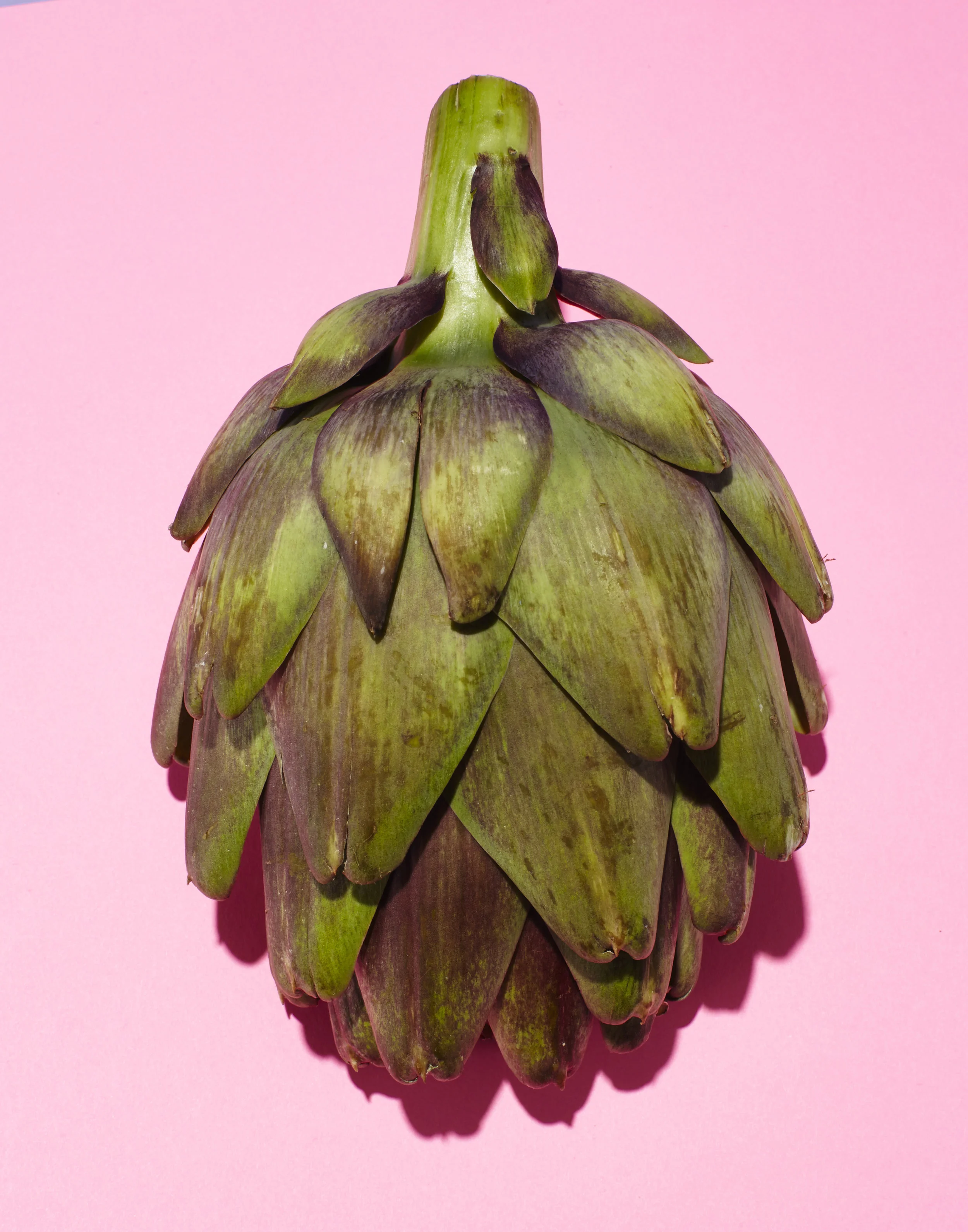 Artichoke