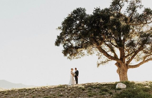 R O O T E D // ⁠in love. ❤️⠀
⠀
&ldquo;A tree with strong roots laughs at storms.&rdquo; -Malay Proverb ⠀
⁠⠀
Bride: @thisRusticsoul⁠⠀
Florist: @fluidbloom⁠⠀
Design &amp; Coordination: @vinofioreevents⁠⠀
Rentals: @allaboutevents⁠⠀
Specialty Rentals:@sc