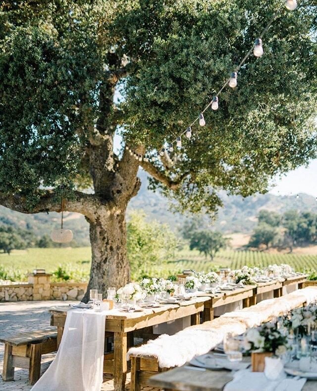S P E E C H L E S S // Every time we look at this gorgeous tablescape. #weddinggoals #dreamteam⁠
. . .⁠
Photographer // @austynelizabeth⁠
Design // @caitlynashleadesigns⁠
Coordinator // @live_andloveevents⁠
Caterer // @love.joy.eat ⁠
Bakery // @splas