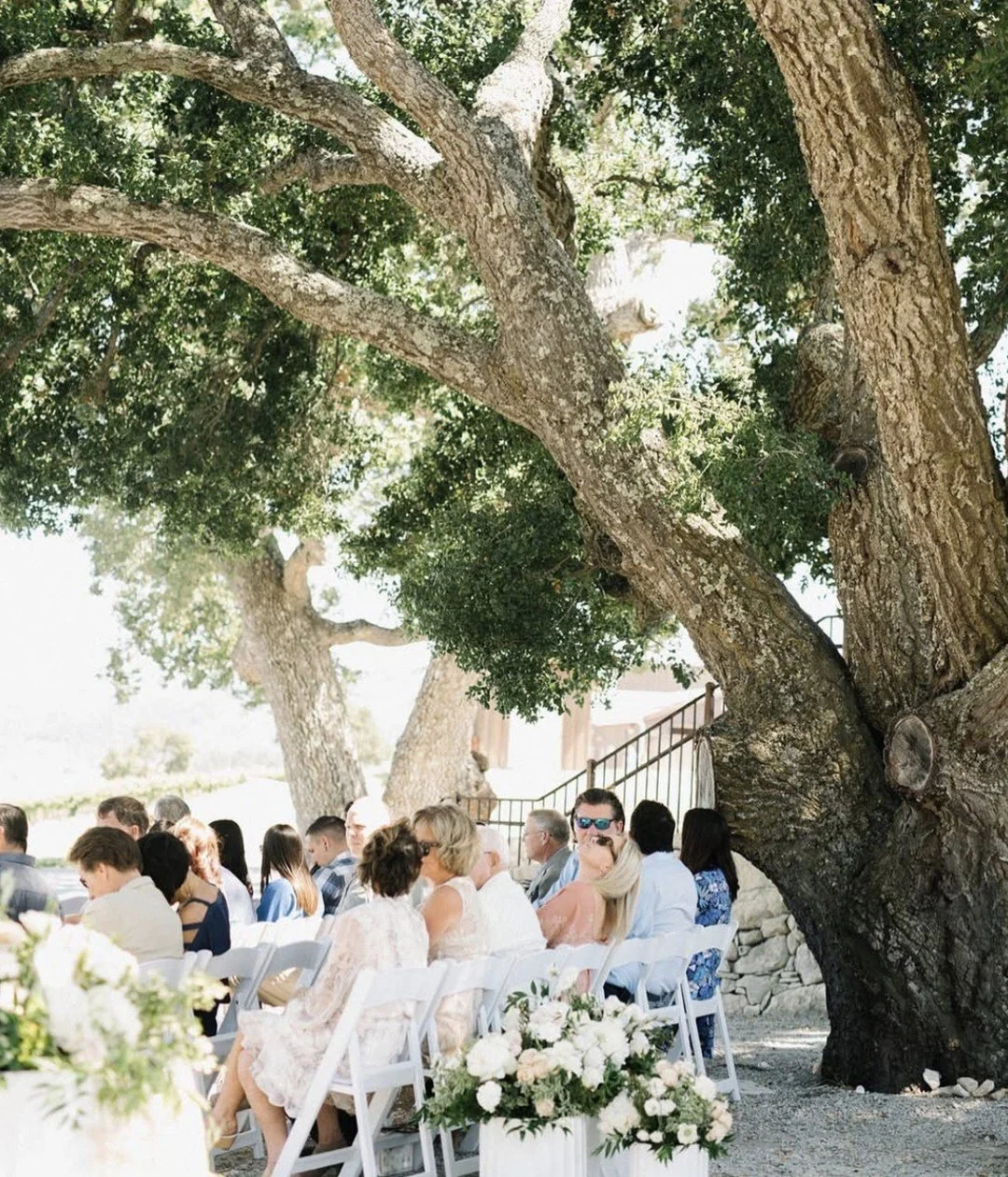 Under the grand oak tree. Where the magic happens. 🤍