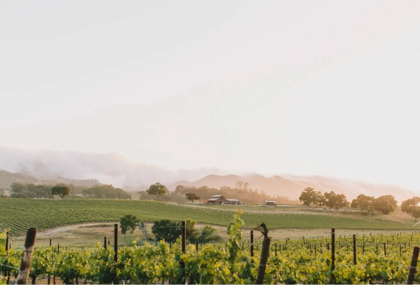 Let&rsquo;s make this official! 🤍⁠
Your dream day deserves the perfect venue &mdash; secure your 2026 wedding date with us now.