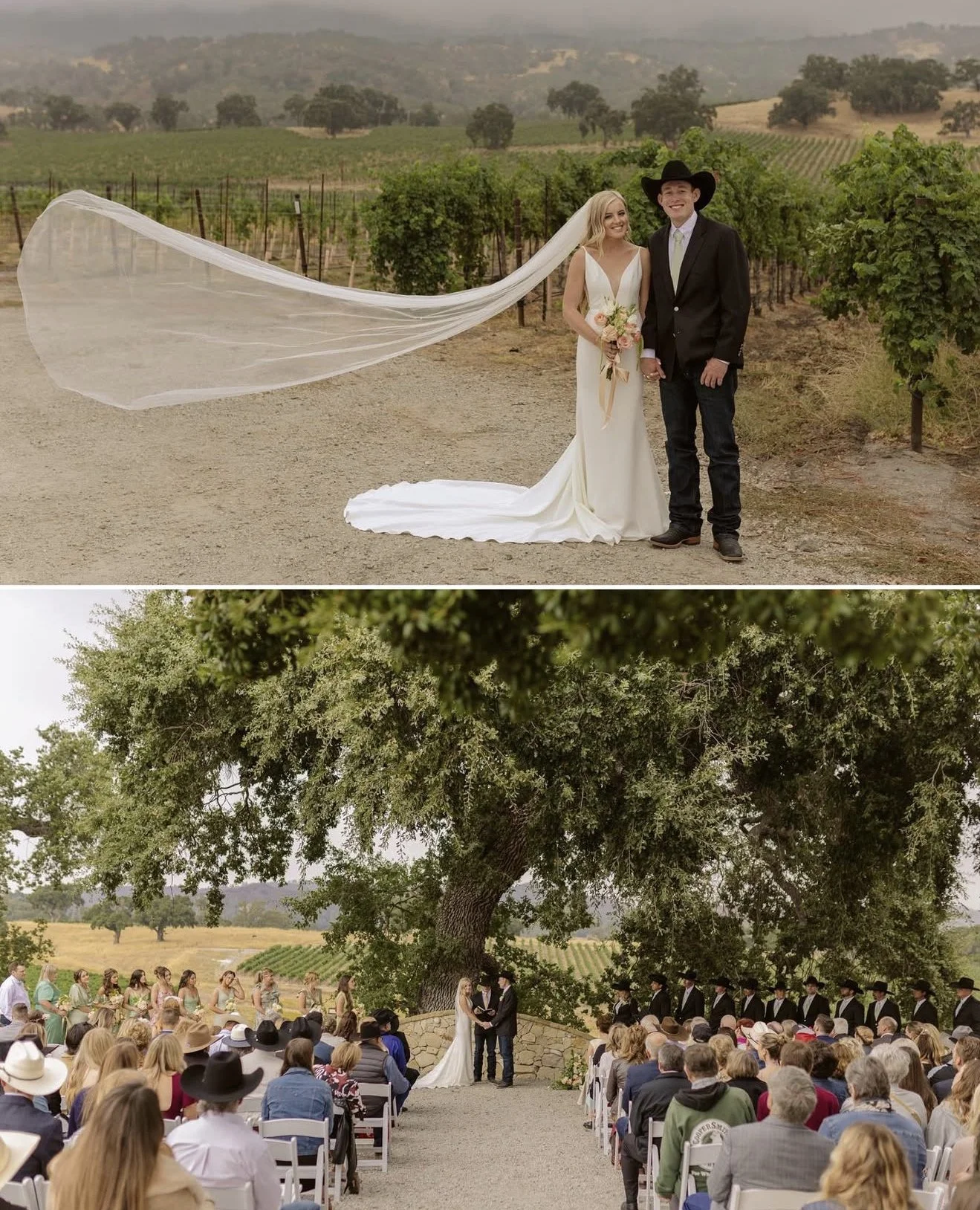 The sweetest day spent with these two! 🤍⁠
⁠
Coordination: @kindra.ann.events⁠
Venue: @ancientpeaksbarn⁠ + @smrv_events⁠
Photo: @molly.v_⁠
DJ: @djflashback⁠
Catering: @kullman_catering⁠
Bartending: @conbrioevents⁠
Desserts: @nothingbundtcakes⁠
Beauty