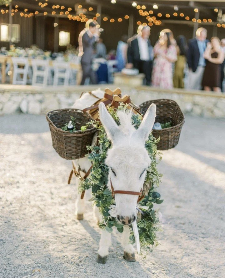 Guests are loving interactive experiences &mdash; and we love when couples bring in special touches like these beer burros 🫏✨⁠
It&rsquo;s all about creating moments that surprise, delight, and keep the celebration unforgettable.