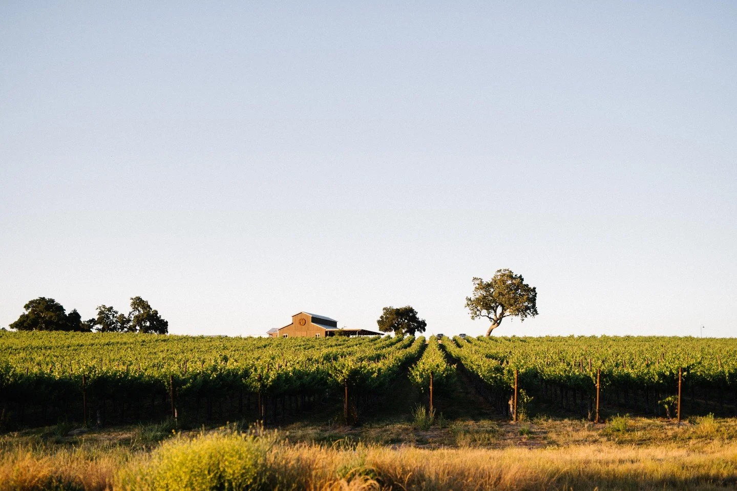 Happy Earth Day, we're feeling extra grateful for the land that makes every moment here so special 🌎️🤍