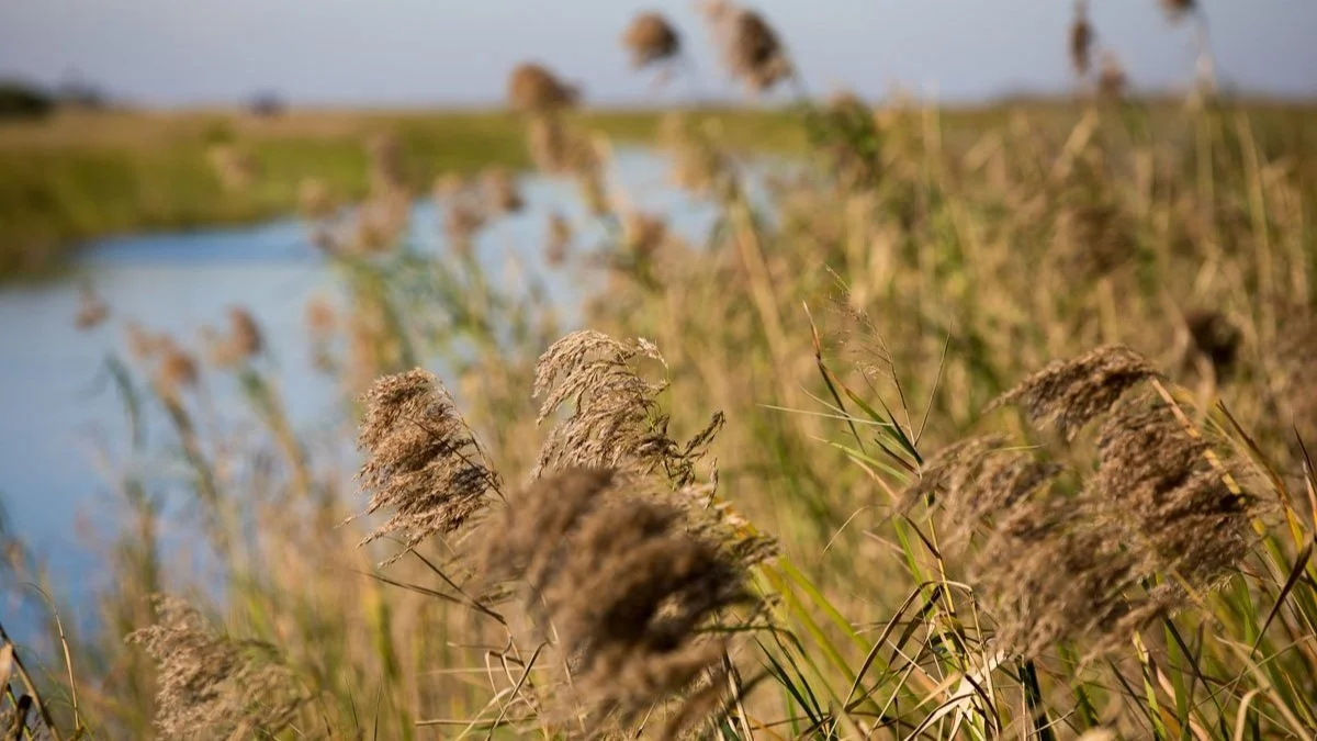 WEBSITE PHOTOS-12.jpg