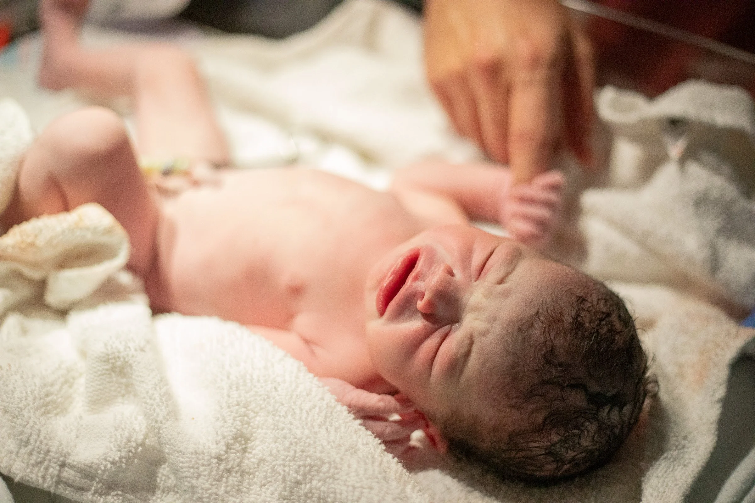 gallerybirthphotos-8.jpg