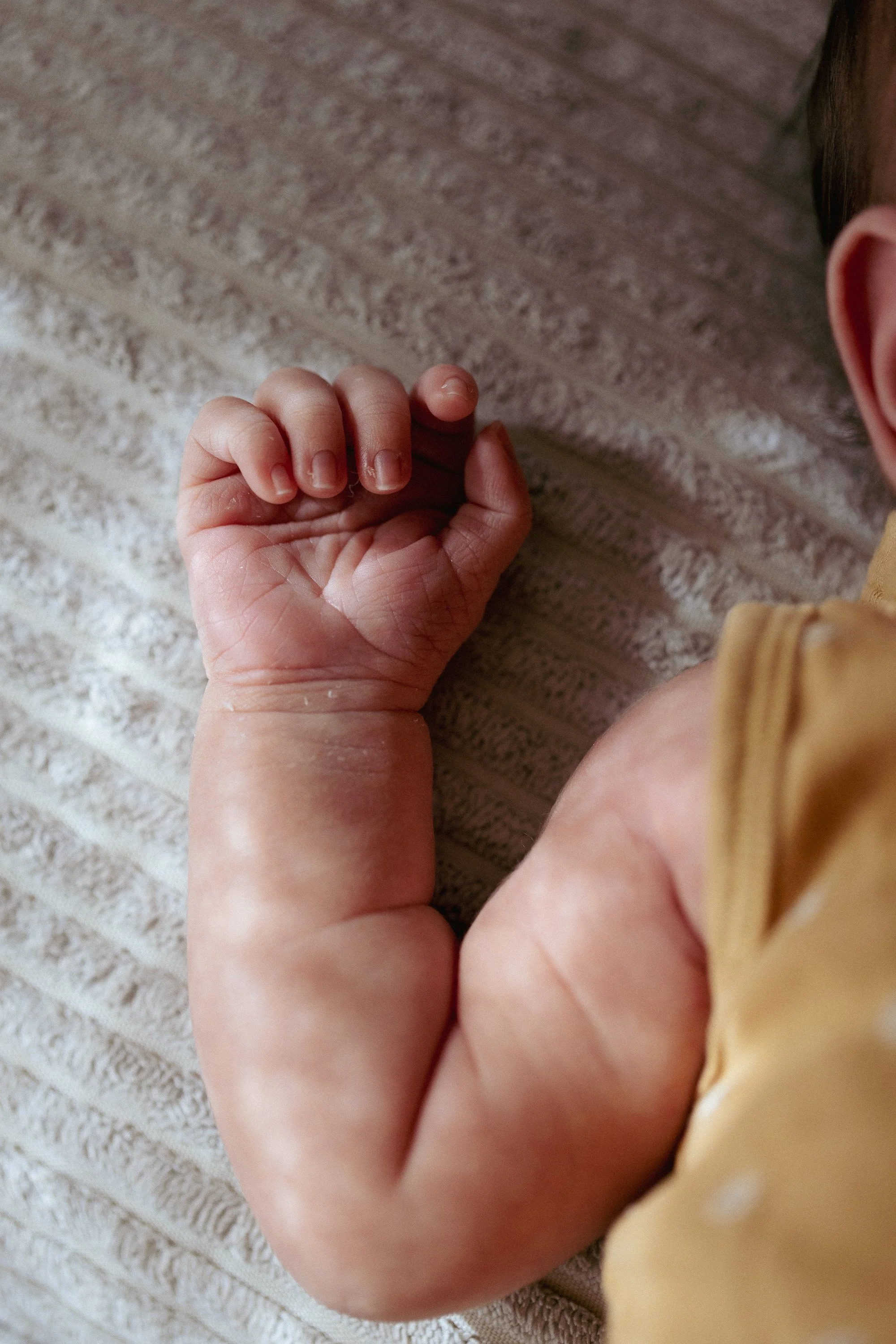websitephotosnewborns-18.jpg