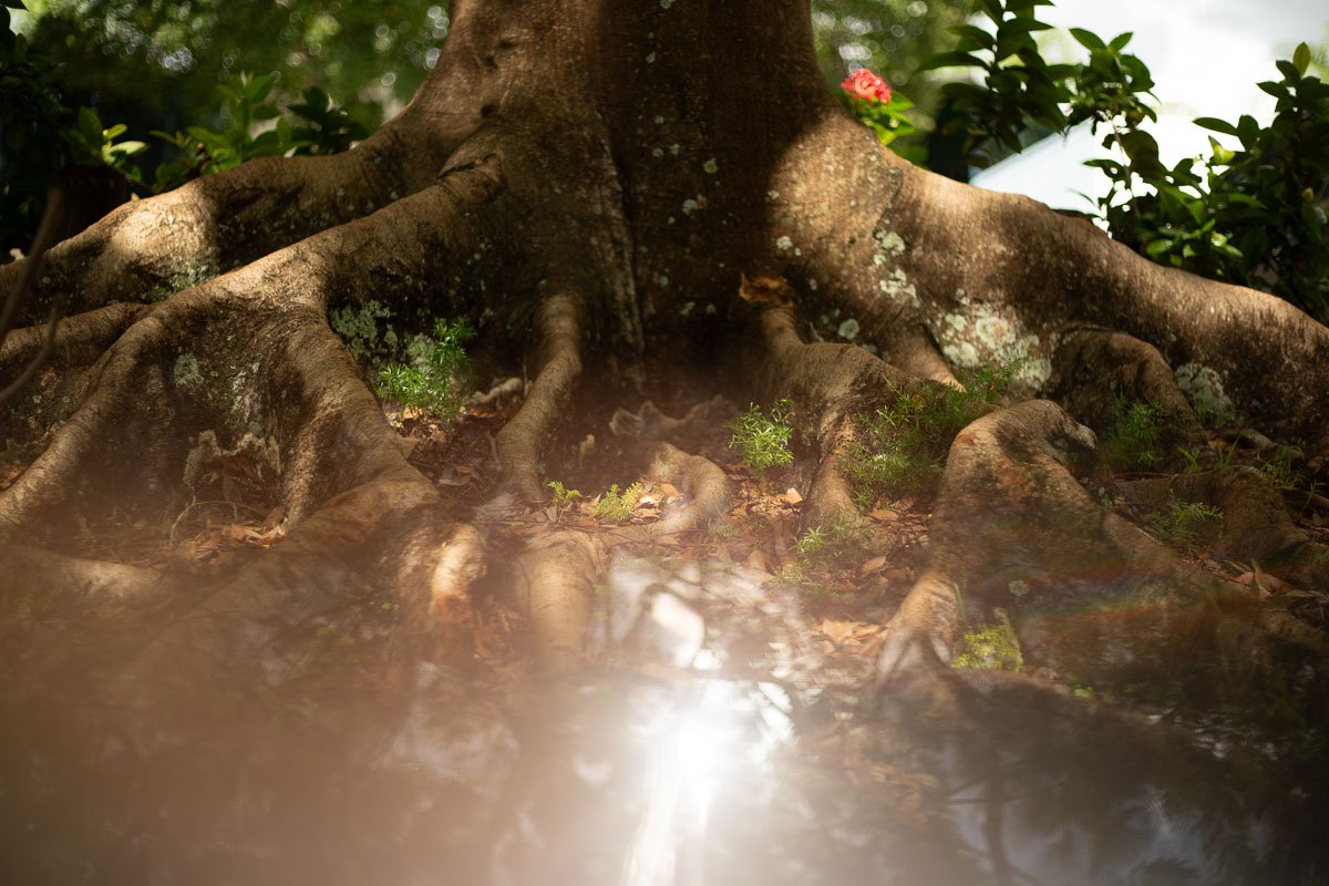 WEBSITE PHOTOS-17.jpg