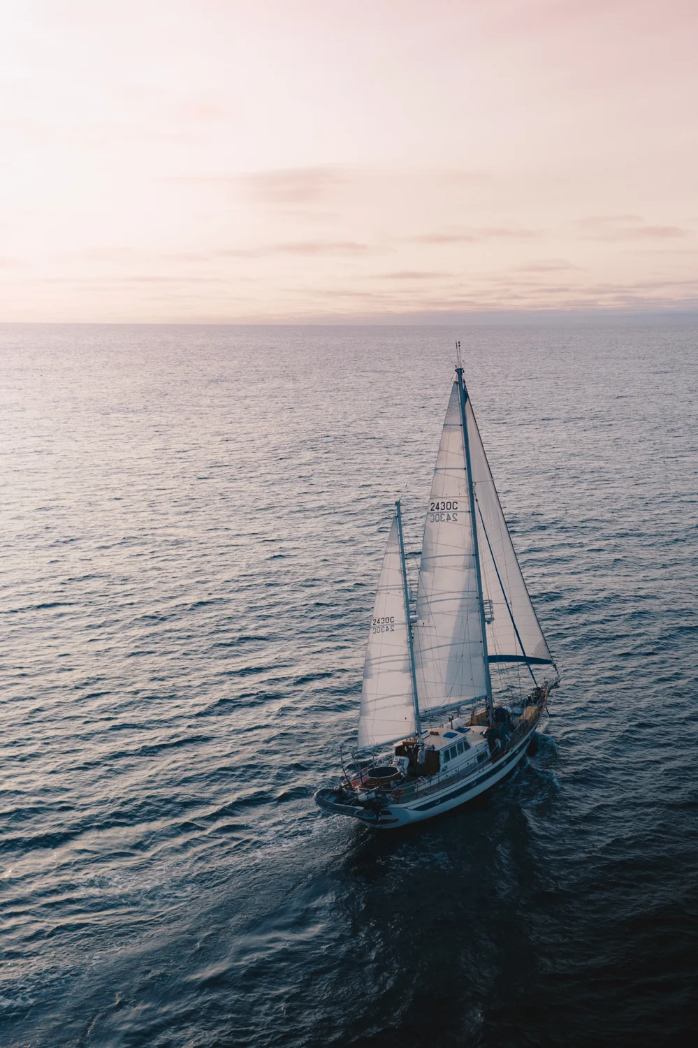 20190407_DJI_0137.jpg