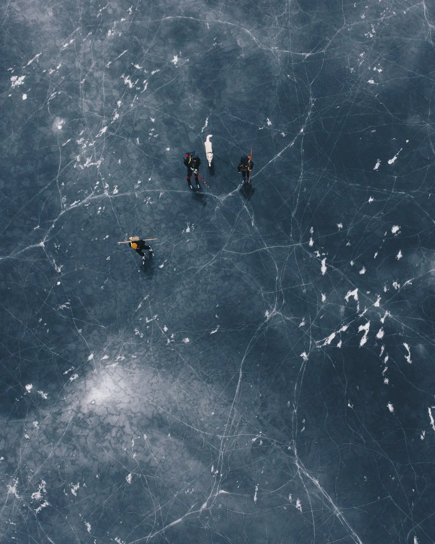 20230124_DJI_0906.jpg