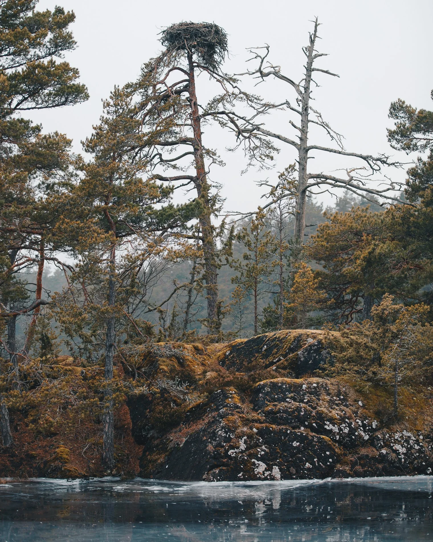 20230124_G15A8209.jpg