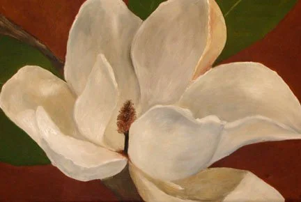 magnolia.jpg