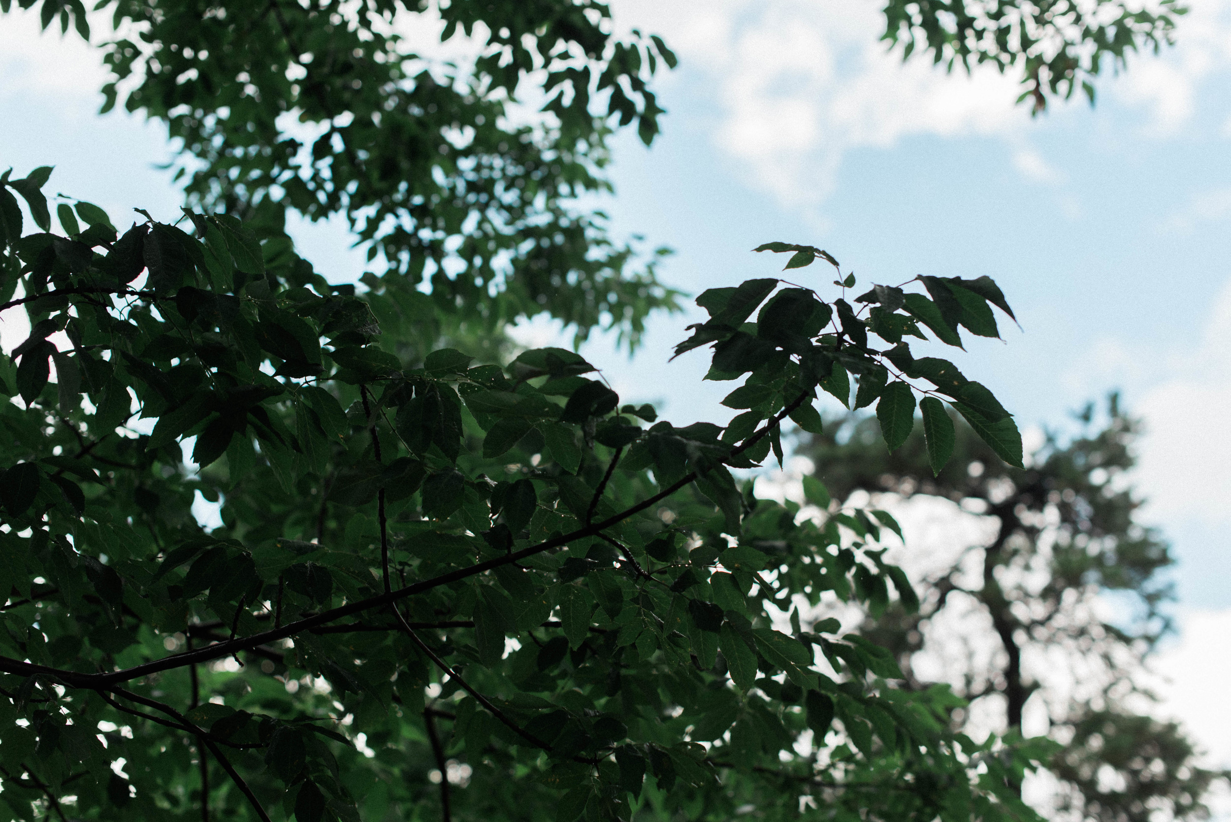 DSC_3153-2.jpg