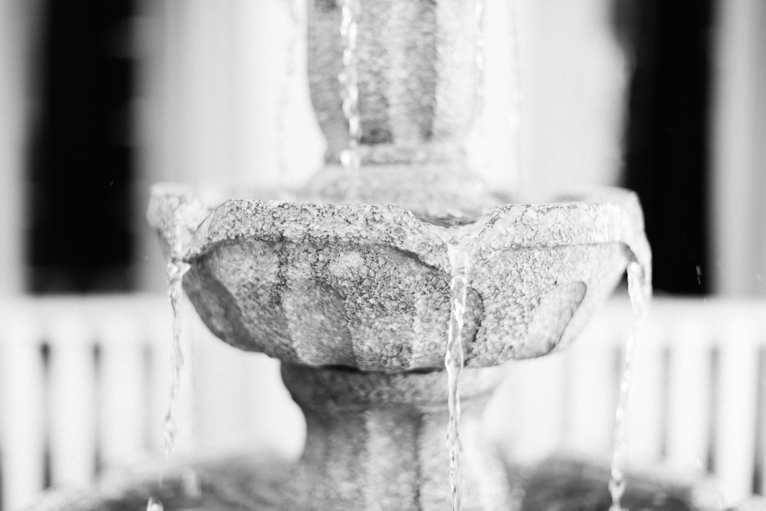 DSC_1070.jpg
