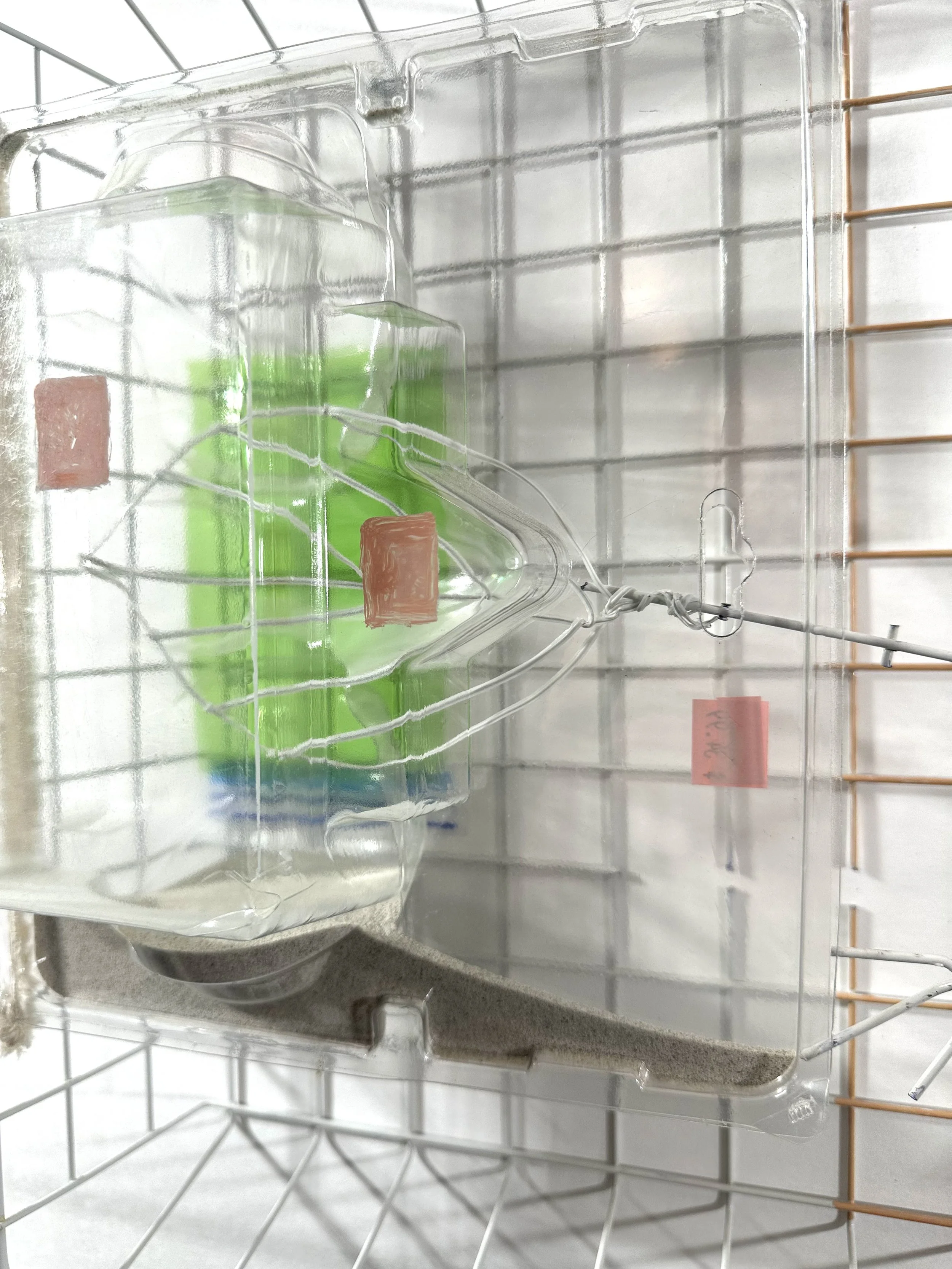 Graft (2025)
Respirator container, twist ties, sand, canvas, light filter gel, price tag, acrylic paint, wood, container, zip lock bag section, steel,
12” x 20” x 4”