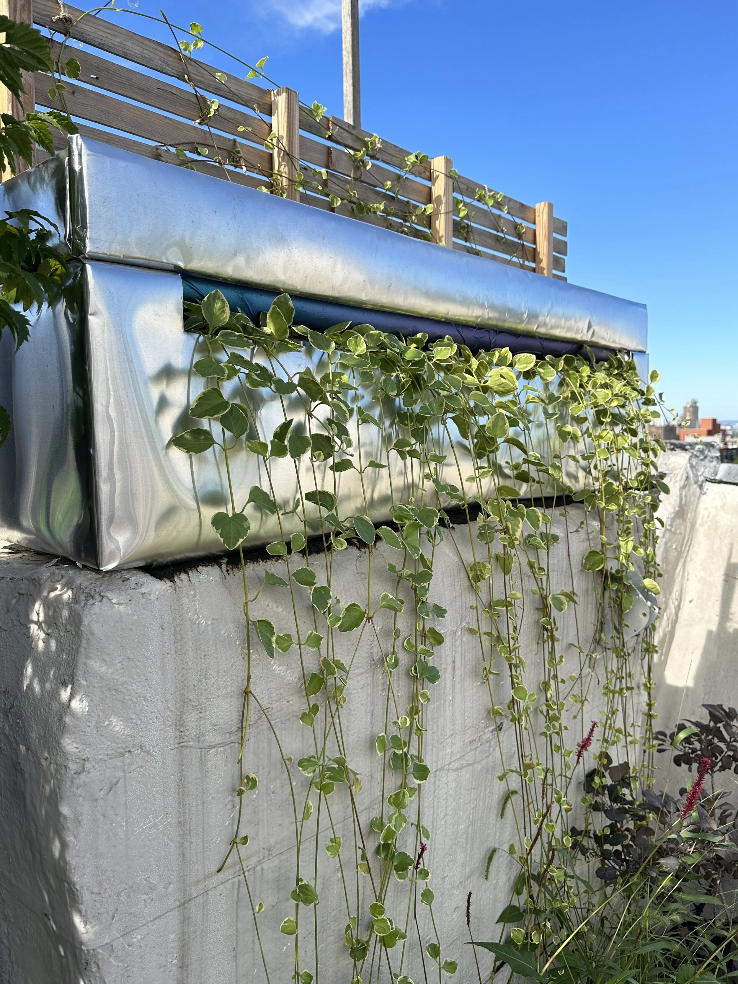 Hamill_Portfolio 7.jpg