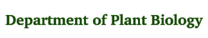MSU DPB.png