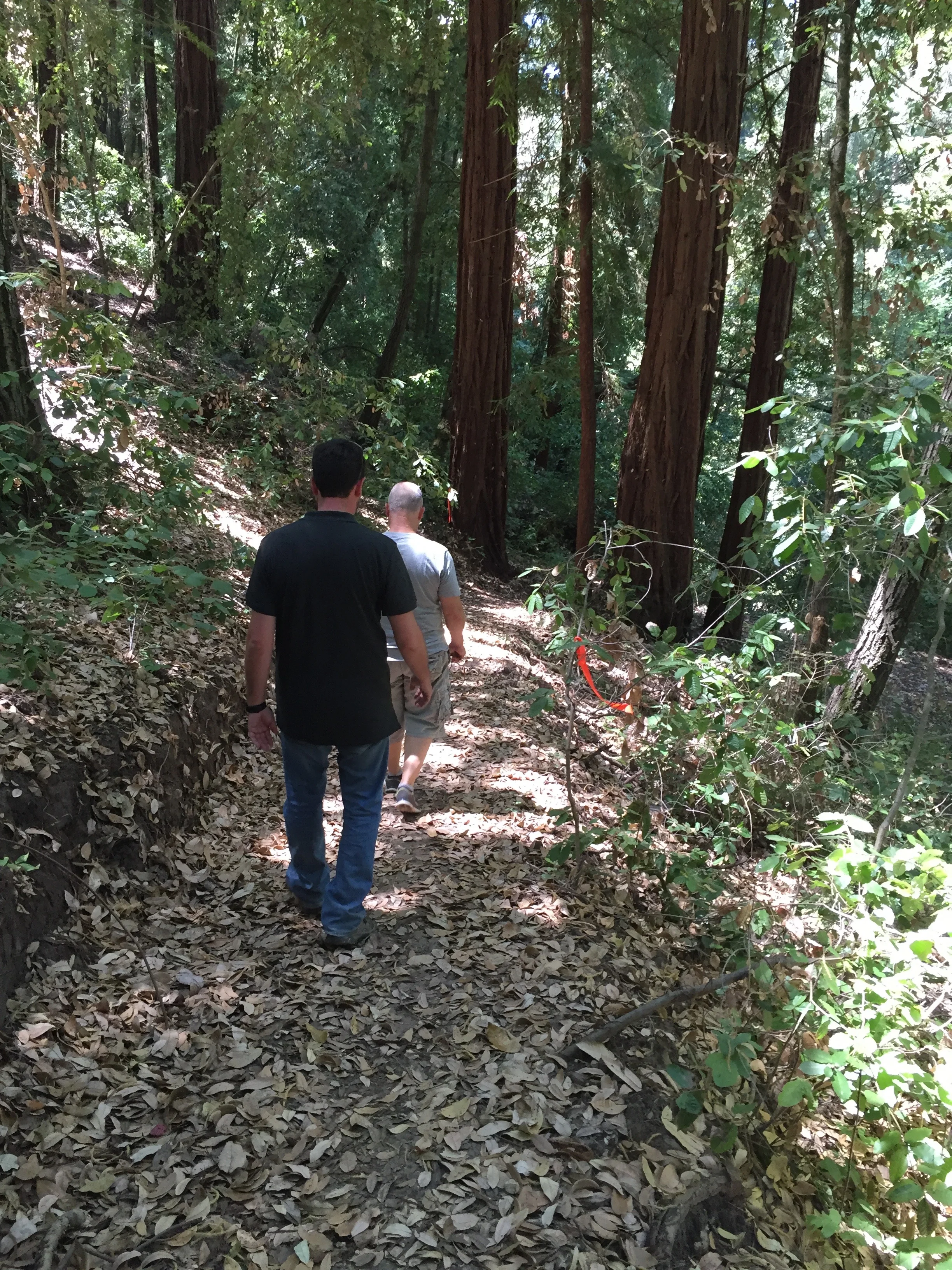 Trails crisscross the campus and invite guests to take a moment to reconnect with nature.