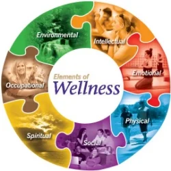 estes_park_edc_wellness